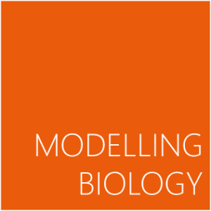 modelling_bio
