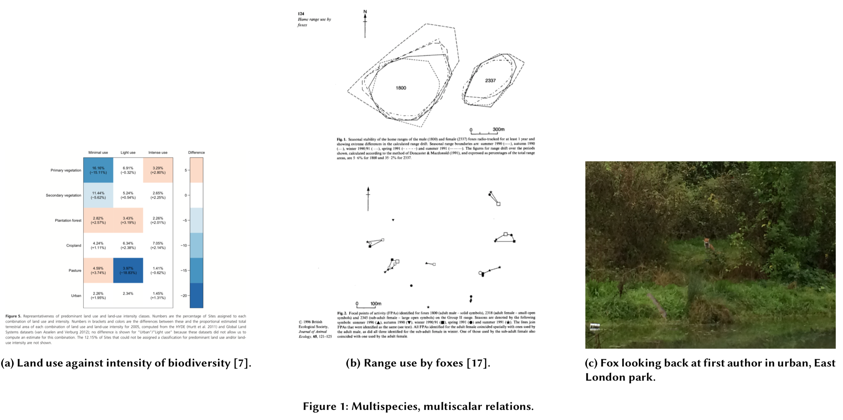 Figure from paper: Figure 1: Multispecies, multiscalar relations.